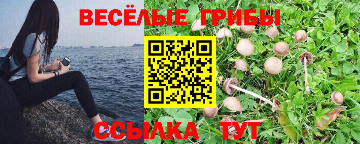 Симферополь  Псилоцибиновые грибы мухоморы  Вход с VPN 
