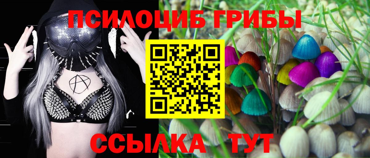Псилоцибиновые грибы GOLDEN TEACHER Симферополь